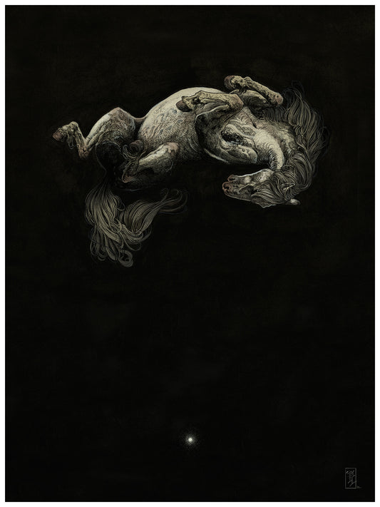 White Pony