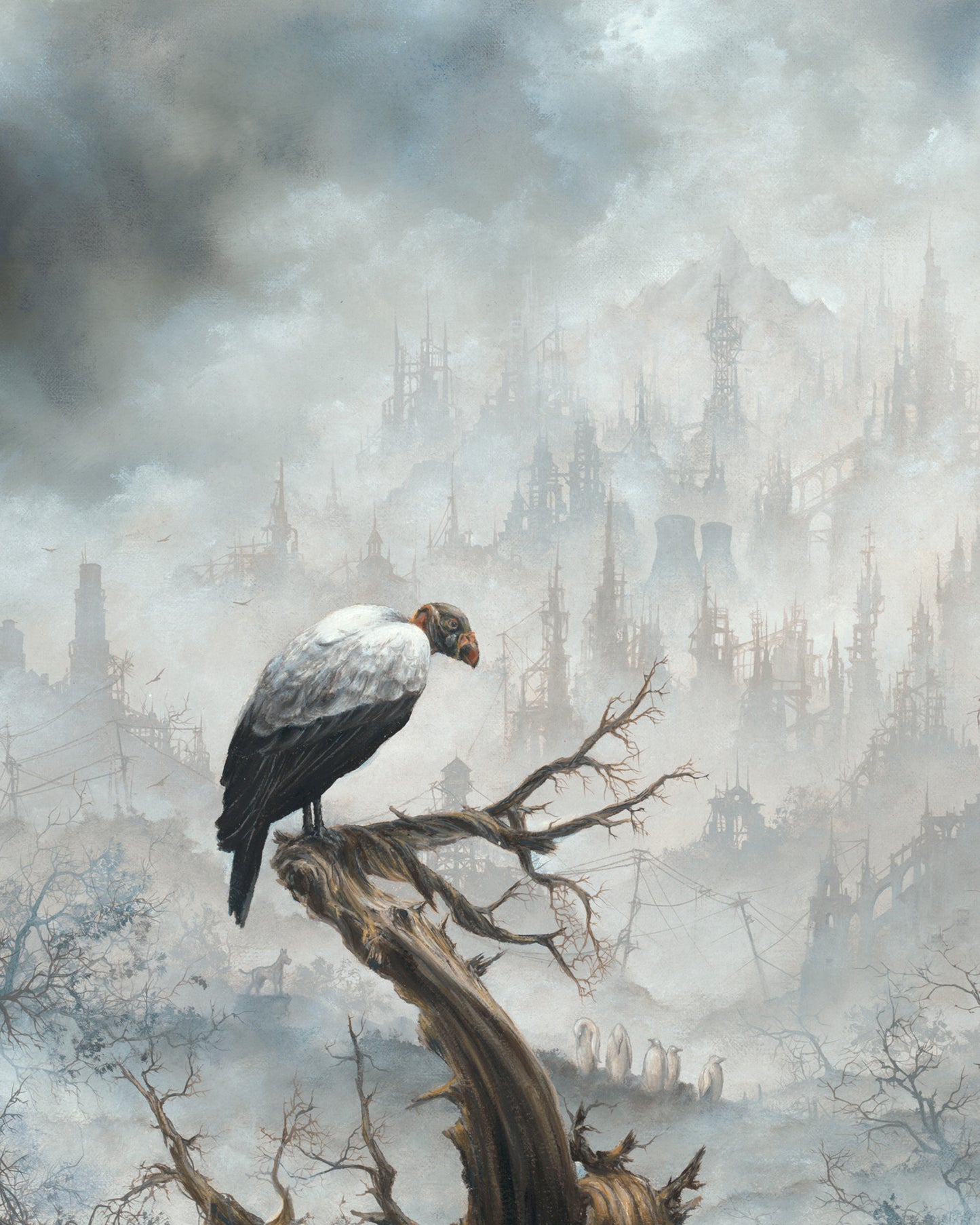 King Vulture