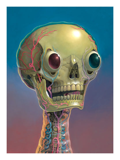 Jelly Skelly