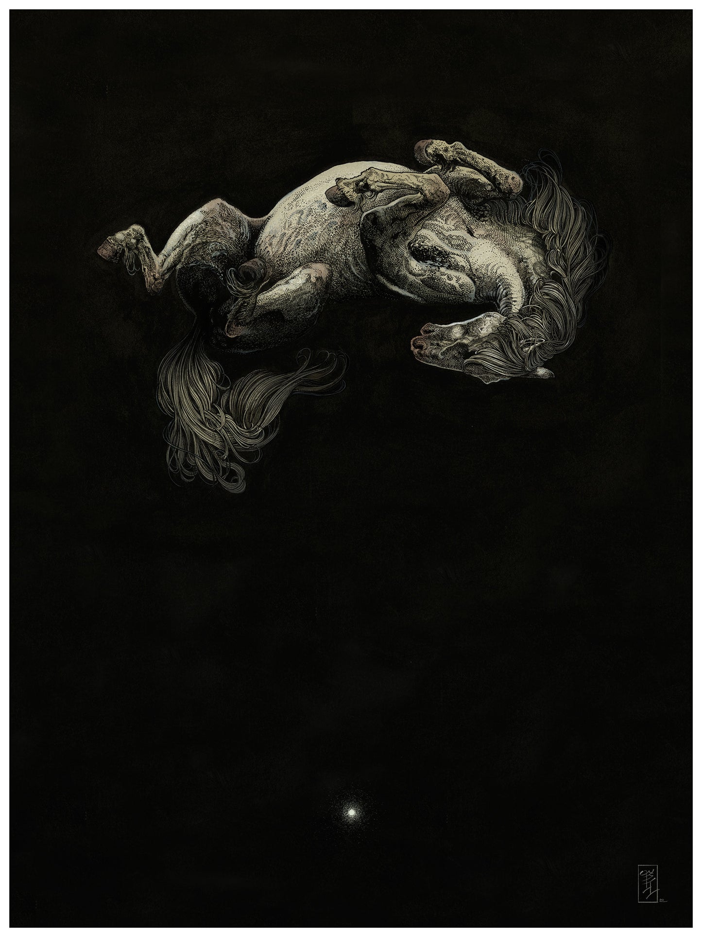 White Pony