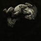 White Pony
