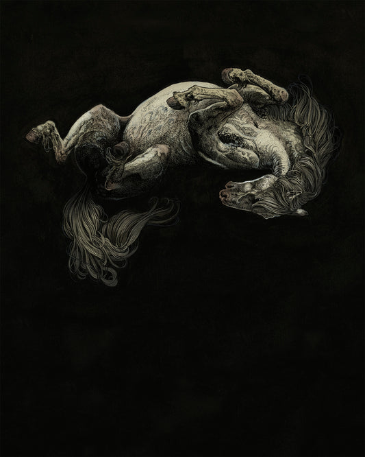 White Pony