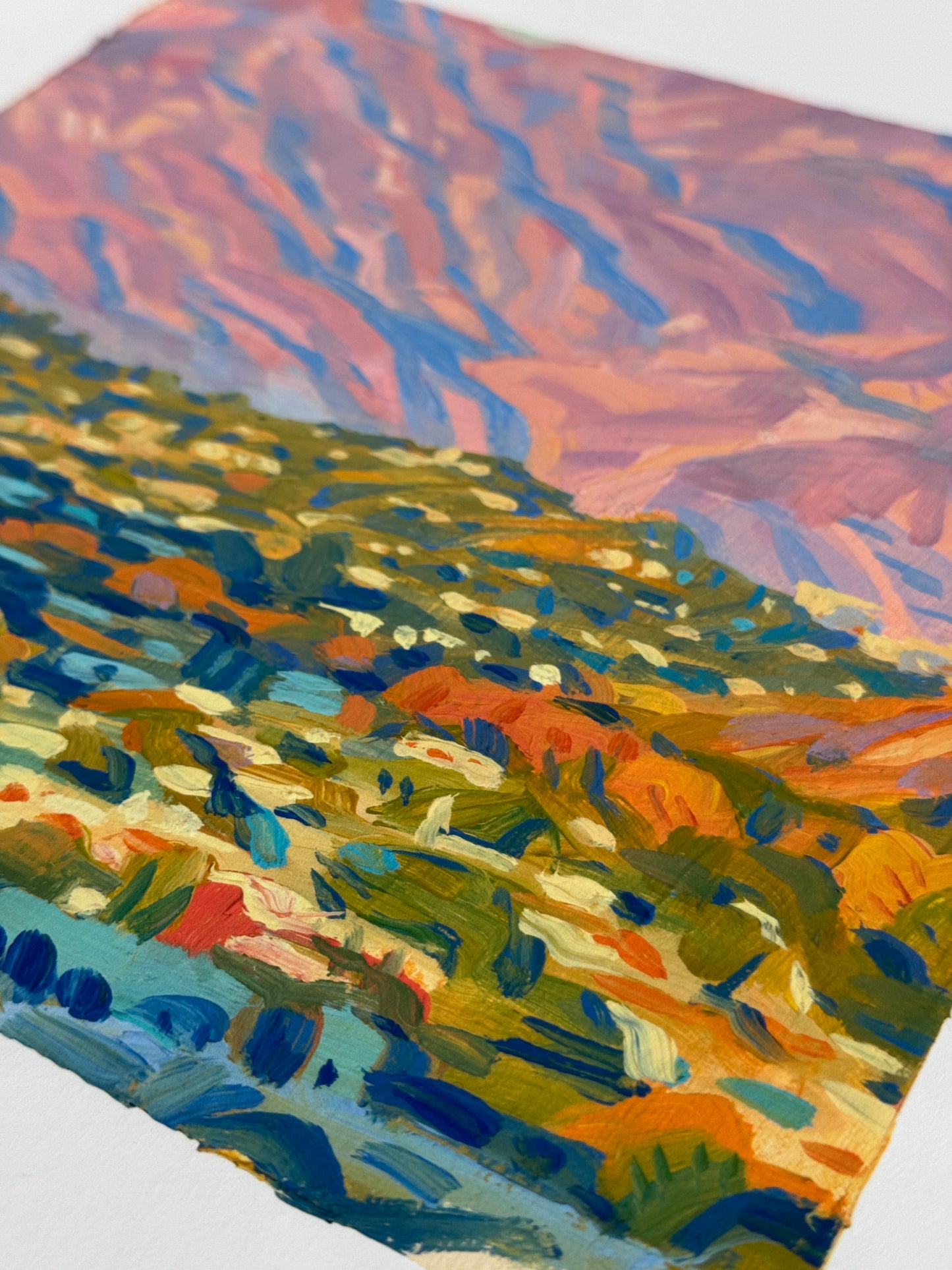 Arroyo Seco Study