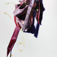 The Cursing Ballerina