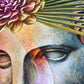 Symbiosis - SPECIAL EDITION